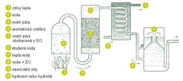 Destilační proces a výroba esenciálních olejů.