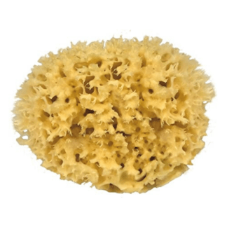 Mořská houba na mytí 13 cm medium