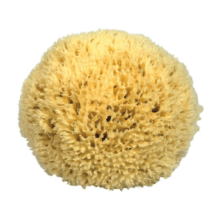 Mořská houba na mytí 13 cm premium